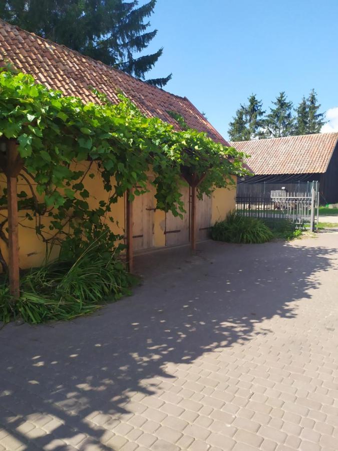Domek Na Wzgorzu Blanki Lidzbark Warmiński Eksteriør bilde